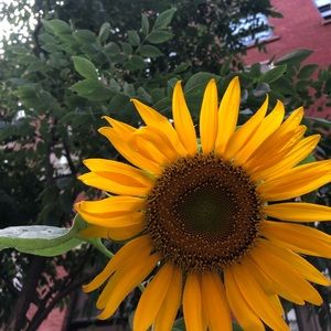 Meet your Posher, Maritza